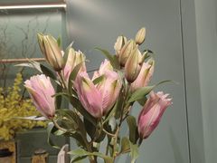 -南堂馆·新川菜(春熙路店)