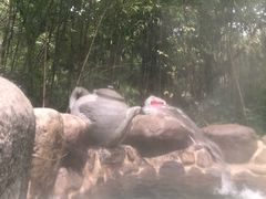 -苏州环秀晓筑养生度假村