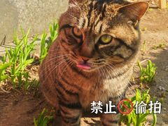 -正阳书局(西四南大街店)