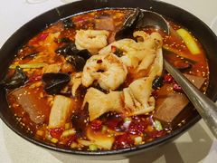 鲜虾毛血旺-文兴酒家(晶品店)