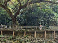 -广州市石门国家森林公园