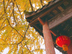 -佛荫寺