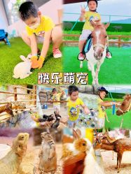 -欢乐舟·舟舟玩乐园