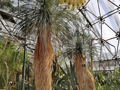 -北京植物园-展览温室