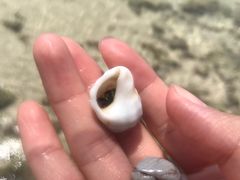 -芭提雅Amporn Seafood自助餐厅