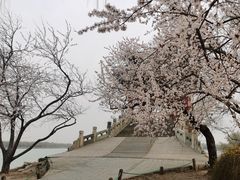 -颐和园