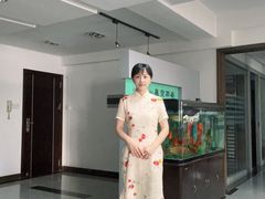 -暮晚尘香汉服旗袍