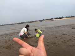 -营口金泰珑悦海景大酒店