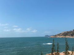 -广东惠东海龟国家级自然保护区