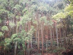 -雁荡山风景名胜区