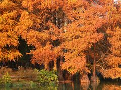 -华南国家植物园-售票处