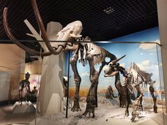 -国家自然博物馆