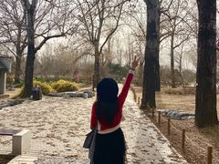 -北京植物园南门售票处