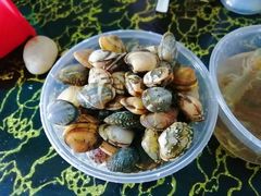 -东戴河风景区-止锚湾