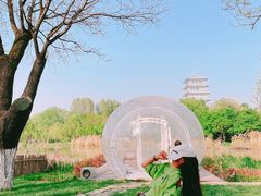 -Supine Bistro溯泮餐厅