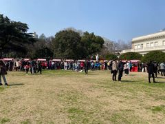 -中国福利会少年宫