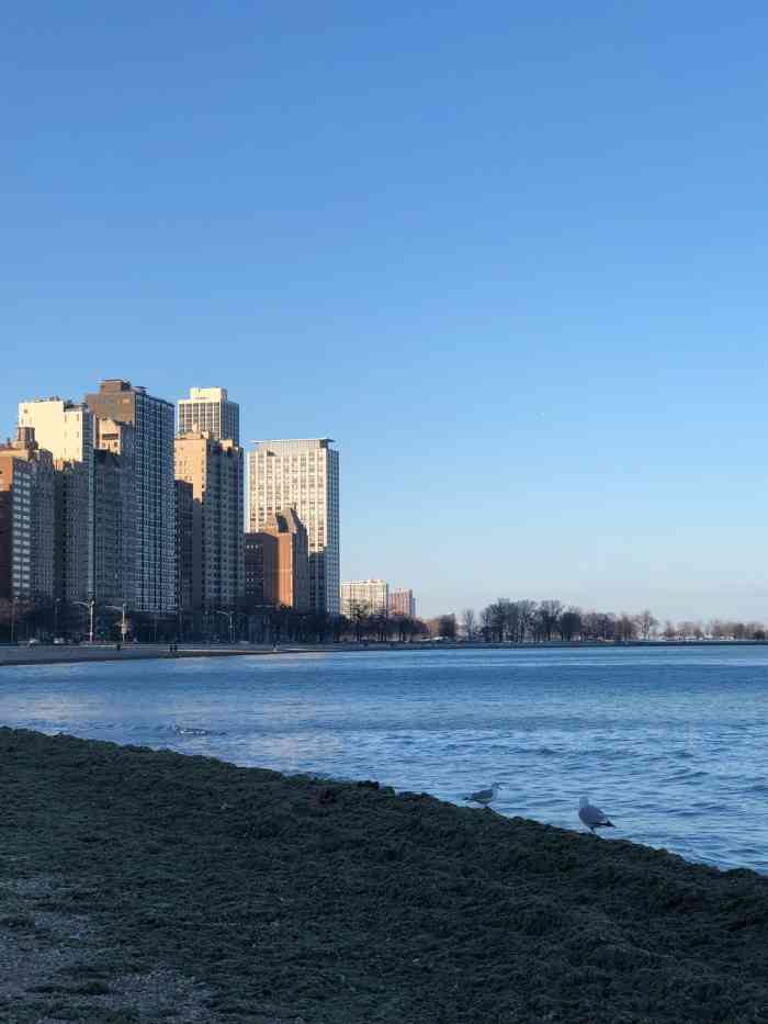 橡树街湖滩-"芝加哥的湖虽然叫湖但是和海没有什么区别了.