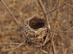 -北京麋鹿生态实验中心