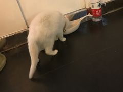 -Doors独立剧情密室(东门分店)