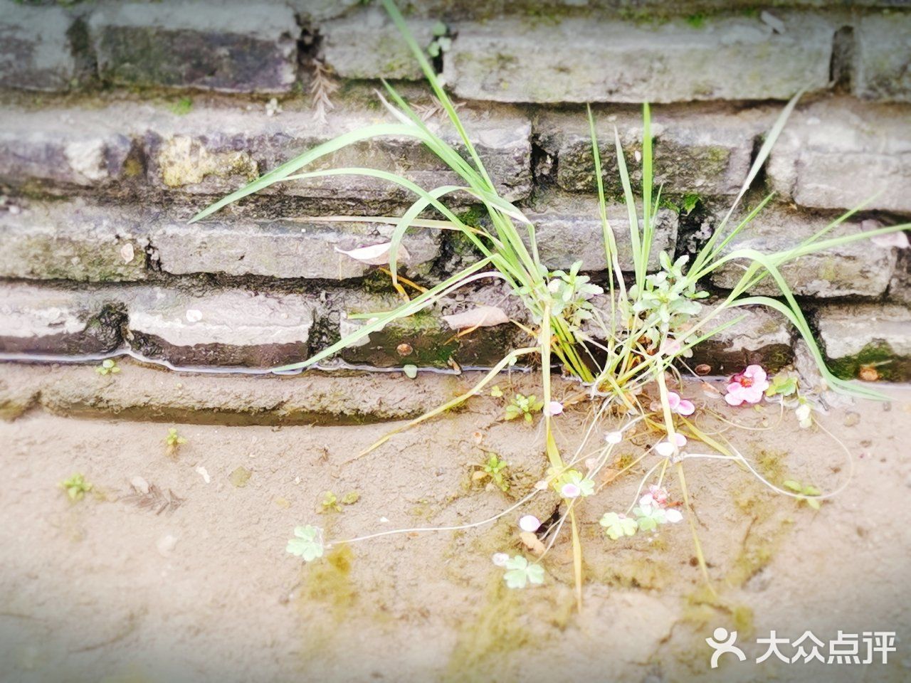 写于2019.03.12 公园里处处都是可以记录的景色