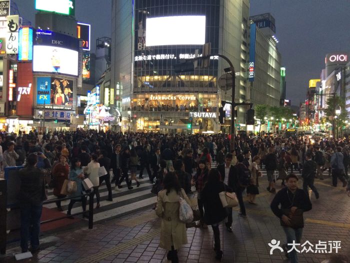涩谷全向十字路口图片