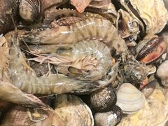 -木柴豆腐·活海鲜·鲁菜