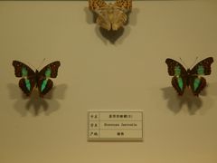 -四川宋瓷博物馆