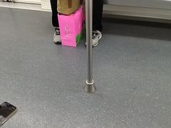 -临平南高铁站(地铁站)