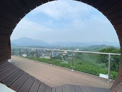 -龙坞茶村
