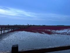 -红海滩国家风景廊道