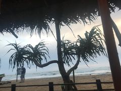 -Green Lobster Waskaduwa Seafood Restaurant