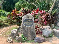 -中国科学院西双版纳热带植物园