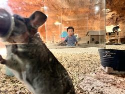 -酷嗒动物文化乐园(cutezoo西溪乐天城店)