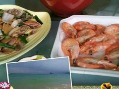 -西涌国际滨海旅游区