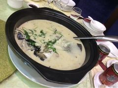 天目湖鱼头-大方圆酒楼(西门大街店)