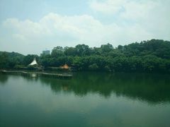 -广州市干部健康管理中心