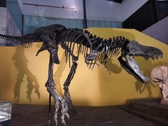 -湖南省地质博物馆