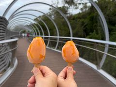 -阿吉仔(大元路店)