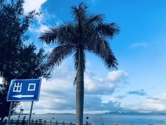 -玫瑰海岸文化旅游度假区
