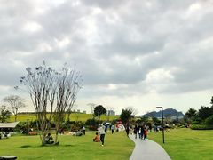 -光明小镇欢乐田园