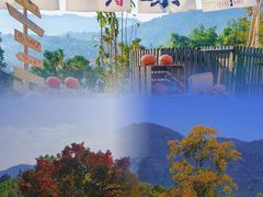 -塔川景区