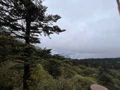 -峨眉山风景名胜区