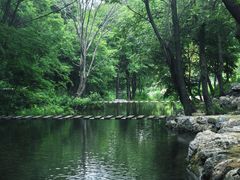 -龙道沟景区