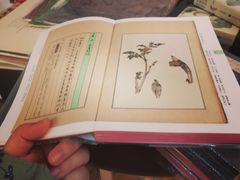 -中华圣公会教堂旧址