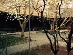 宽沟招待所-北京宽沟会议中心