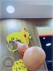 -金太子形象设计