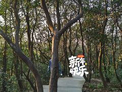 -银瓶嘴森林公园