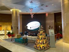 -南京禄口机场雅高铂尔曼大酒店