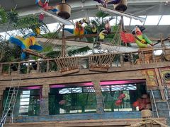 -南宫五洲植物乐园