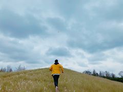 -白鹭湾湿地公园